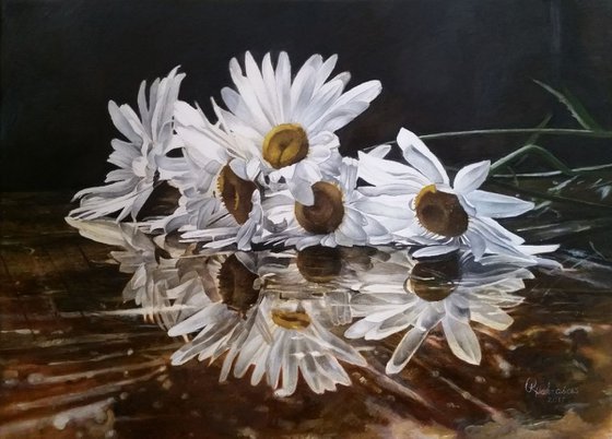 American Art Awards Winner "Camomile"