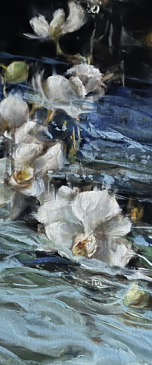 ORCHIDES DE MEDITERANEE by Elena Mashajeva-Agraphiotis