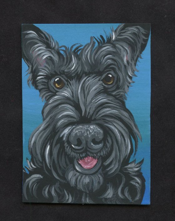 ACEO ATC Original Painting Scotty Scottish Terrier Pet Dog Art-Carla Smale