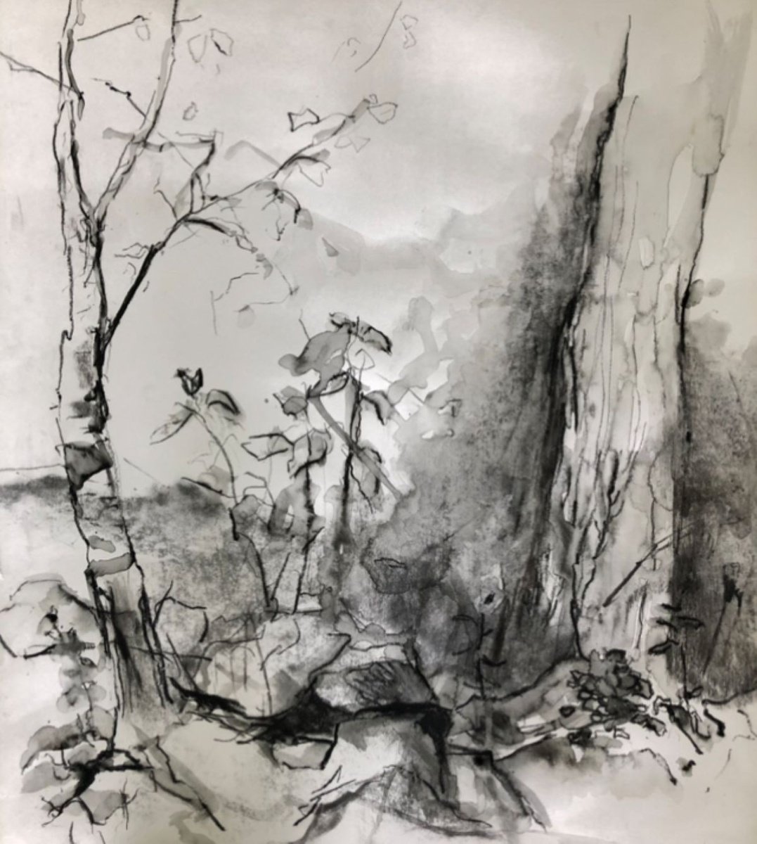 Impressionistic Landscape Charcoal Drawing By Joanna Farrow, 22 X 26, Changing Seasons 2, Original Artwork