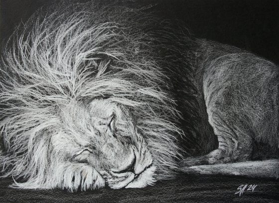 Lion IV