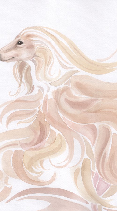 Beautiful - Afghan Hound by Jolanta Czarnecka