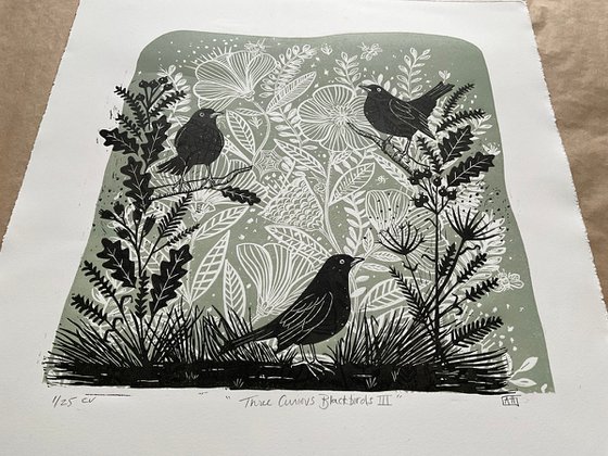 Three Curious Blackbirds III