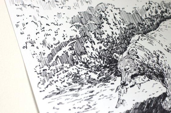 A Bear Fishing