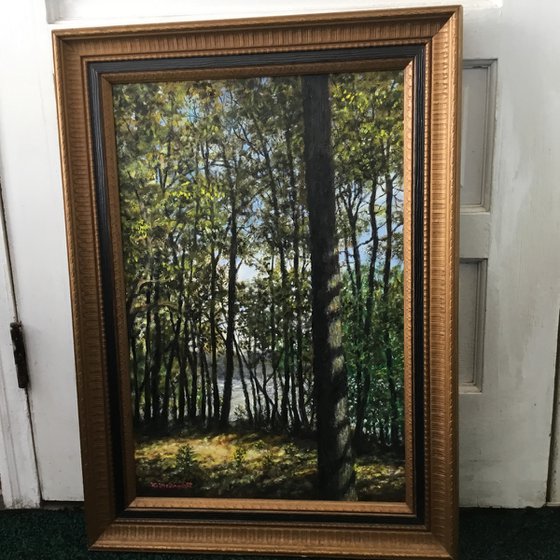 WOODS IN CHERRY PARK (SOLD)