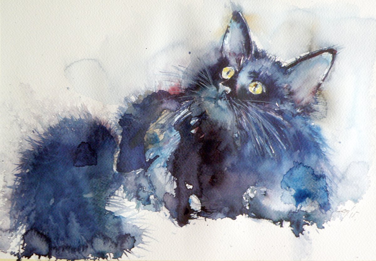 Cat by Kovcs Anna Brigitta