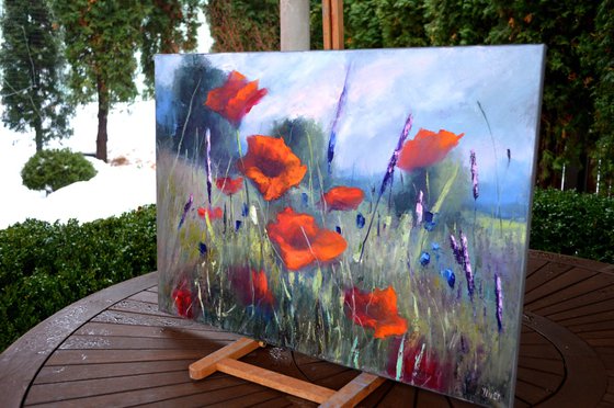 Poppy meadow