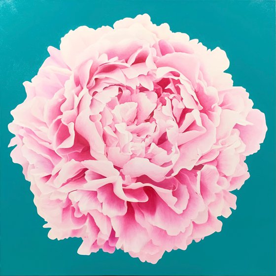 Pink Parfait. Peony.