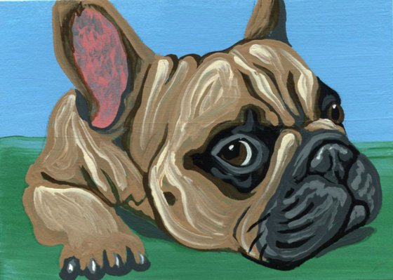 ACEO ATC Original Miniature Painting Tan French Bulldog Pet Dog Art-Carla Smale