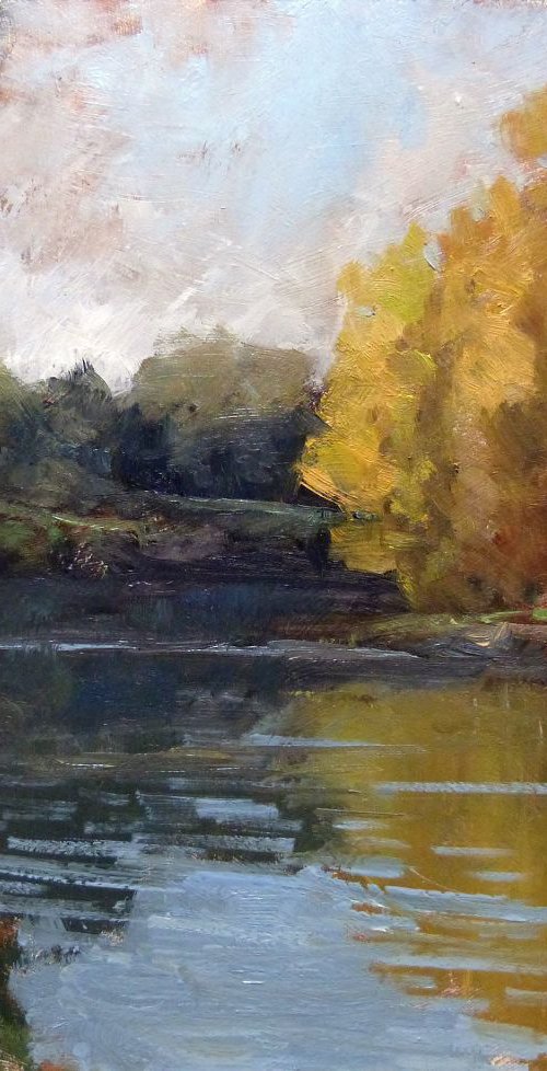 Trees on the banks of the Loire by Pascal Giroud