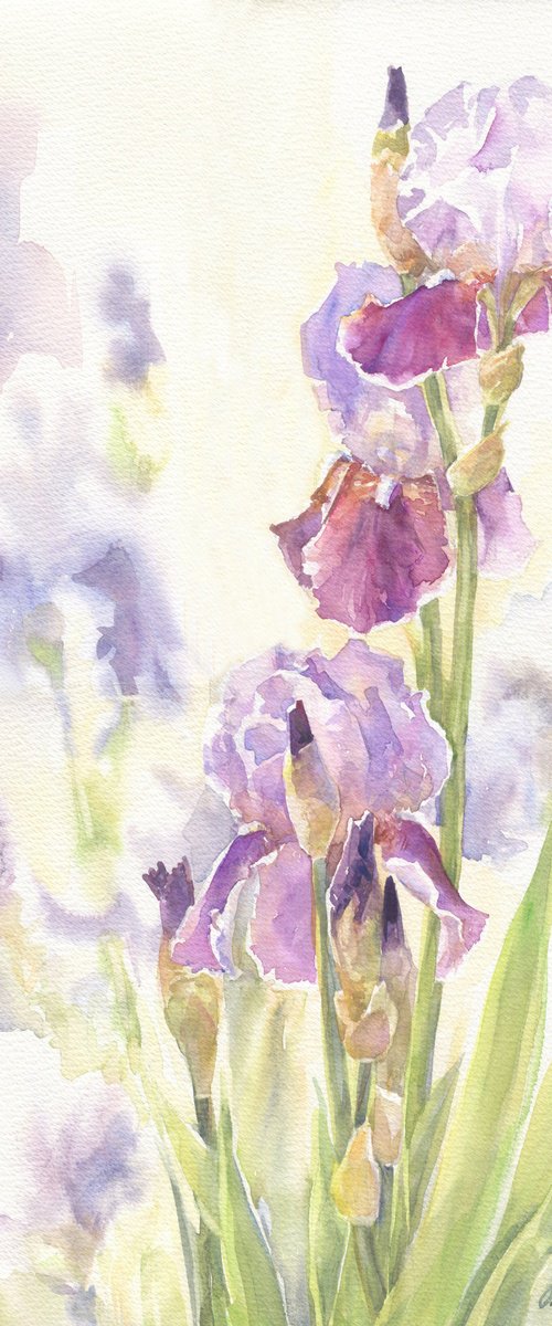 Irises in a garden / ORIGINAL watercolor 15x22 (38x56cm) by Olha Malko