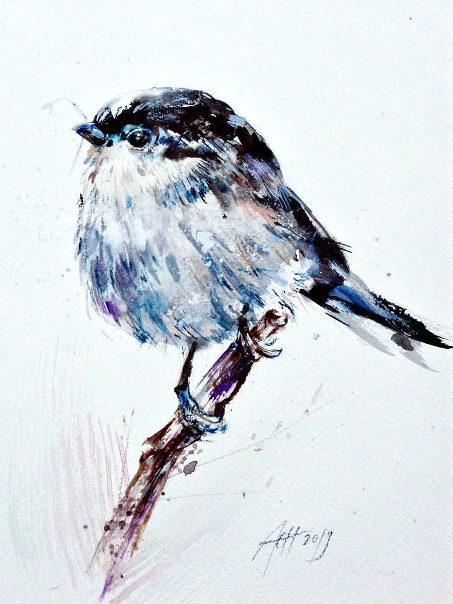 Long Tailed Tit Ink drawing by Anna Maria | Artfinder
