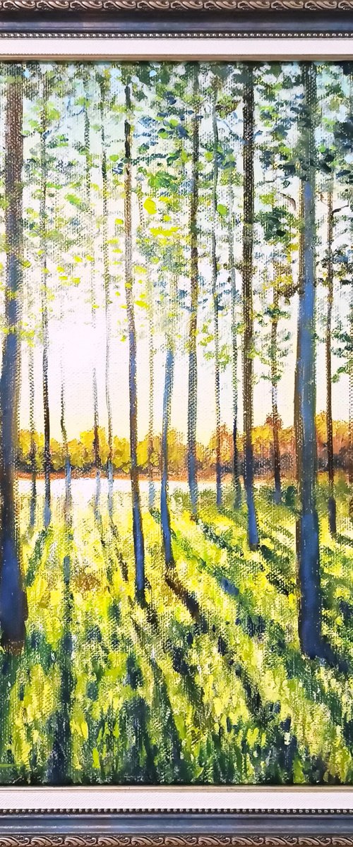 August morning by Oleh Rak