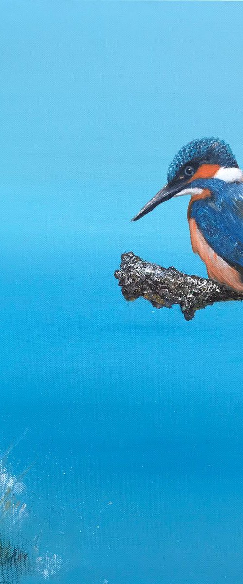 Kingfisher by Laure Bury