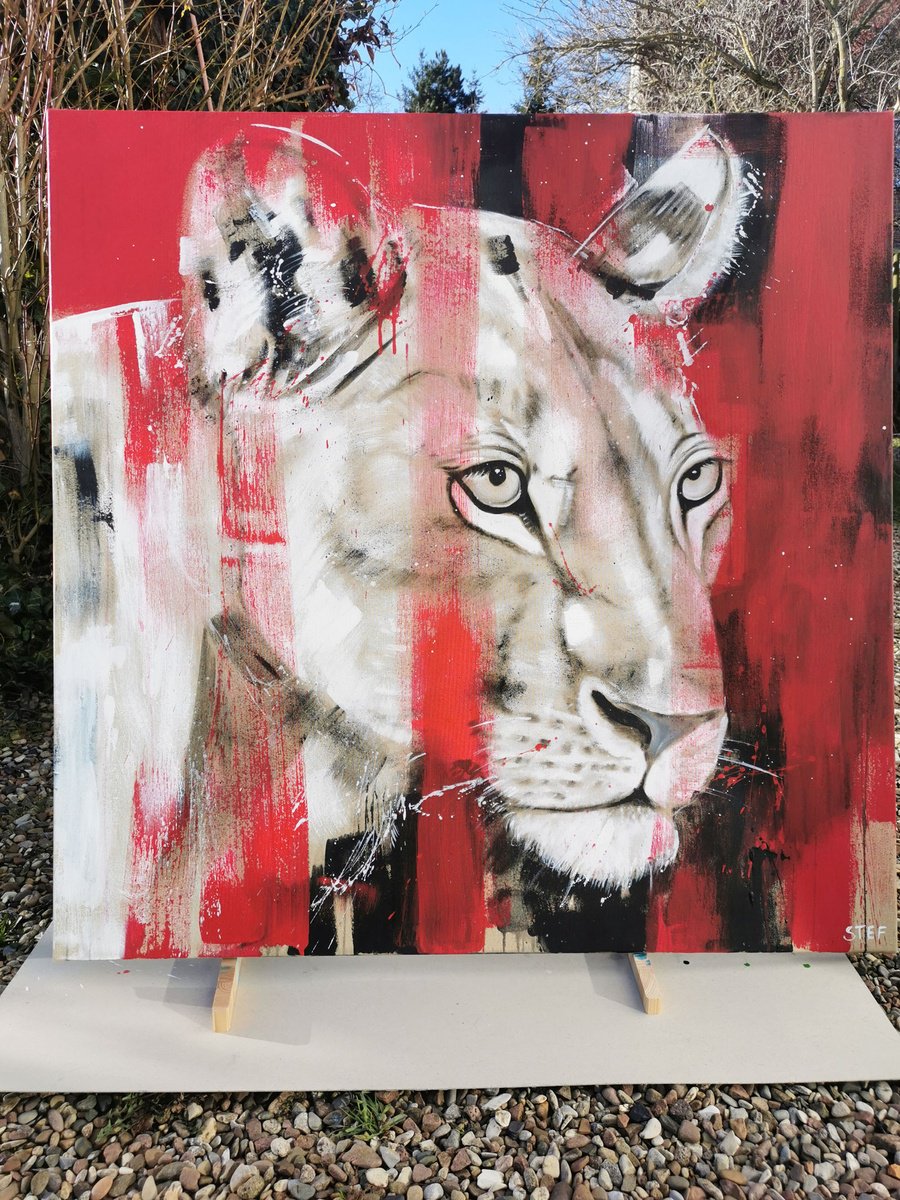 Expressive Animal Acrylic Painting By Stefanie Rogge, 39 X 39", Big Cat - Lioness #12, Original Artwork