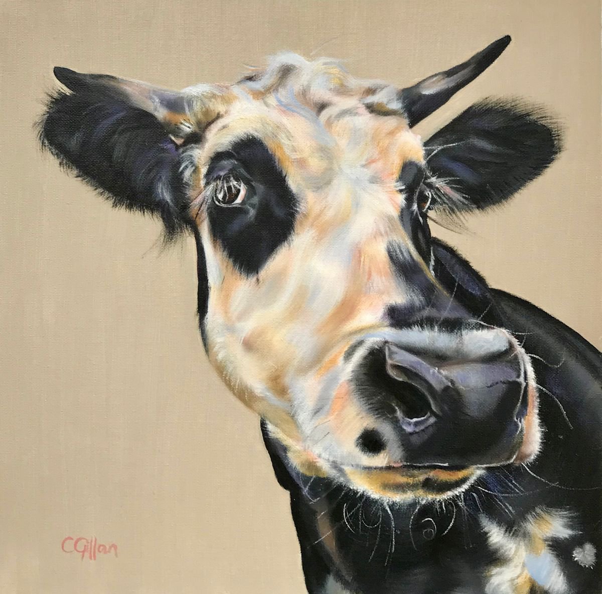 Beauty Spot, original oil painting Black and White Cow by Carol Gillan