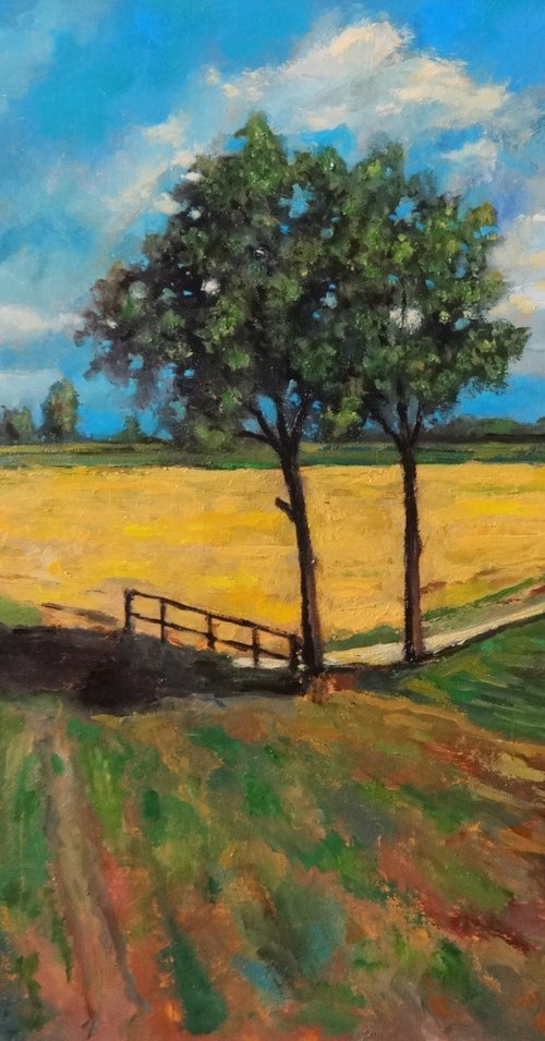 Summer by Massimiliano Ligabue