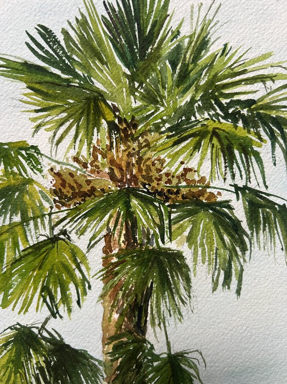 Palm tree - plein air