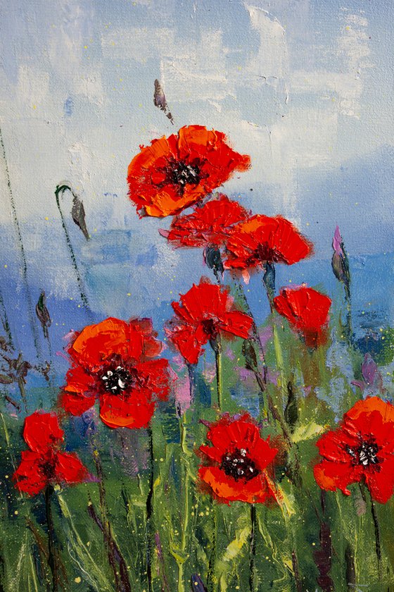 Red flowers , poppies