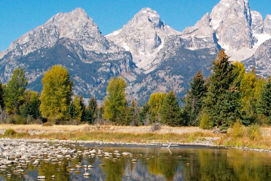 Snake River Reflections