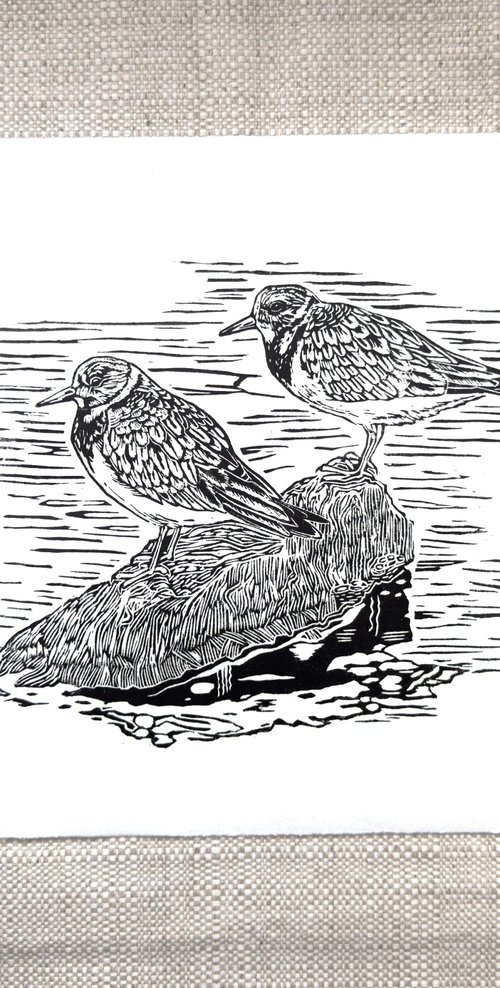 Two Turnstones by Jem Gooding