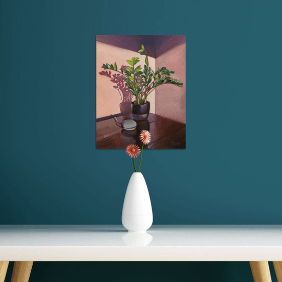 Hello Google interior plant still life