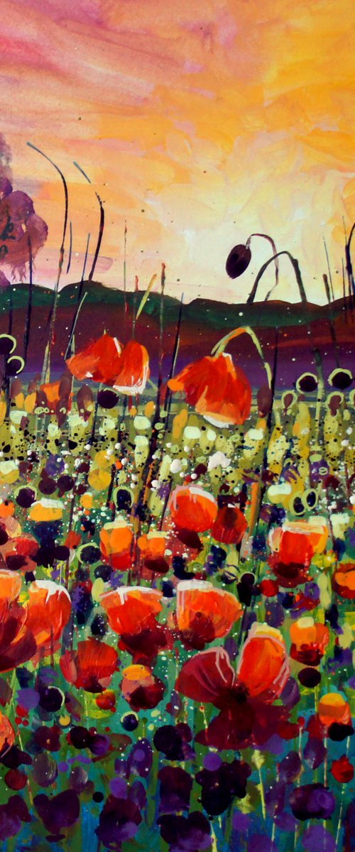 Poppy Field at Sunset by Julia  Rigby