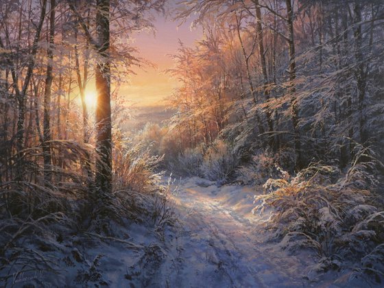 Magic winter evening