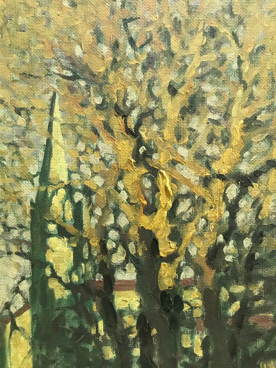 Golden Sunlight House