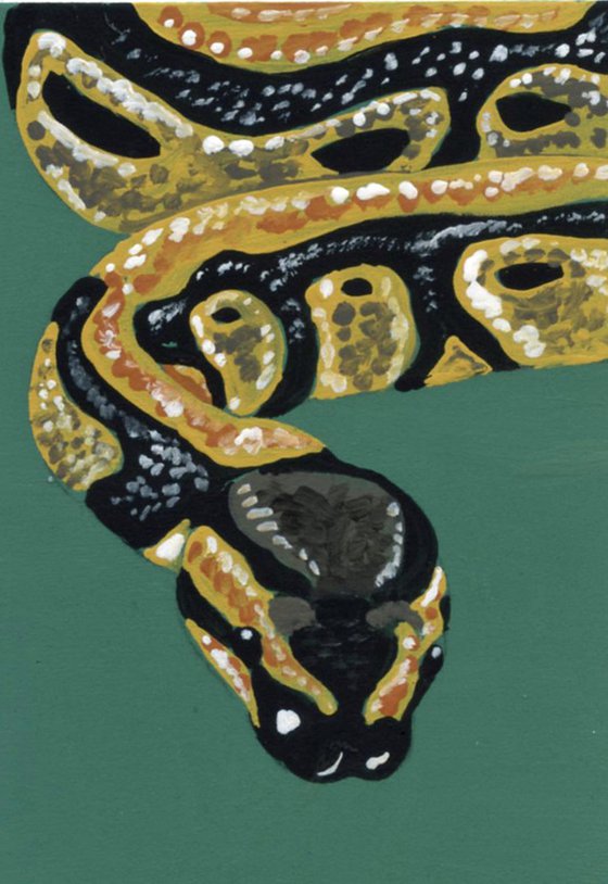 ACEO ATC Original Miniature Painting Python Snake Pet Wildlife Art-Carla Smale