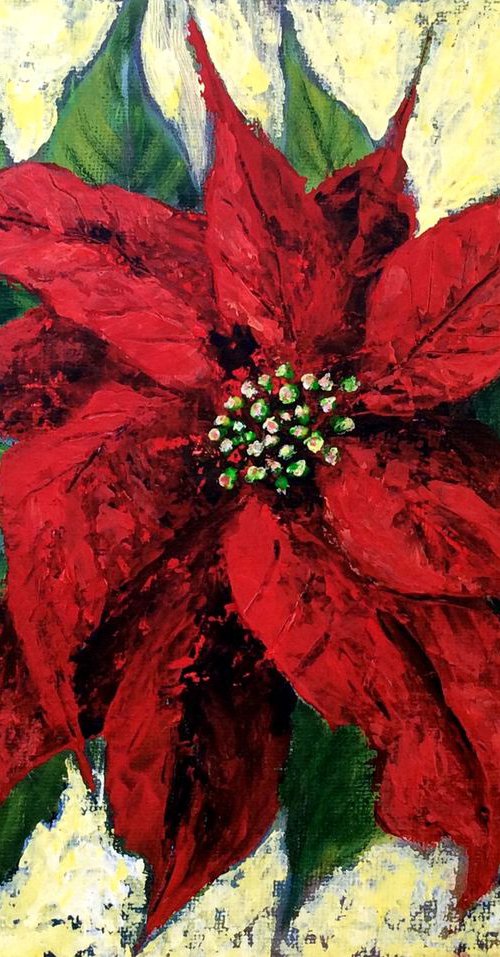 Joy Poinsettia by Jing Tian