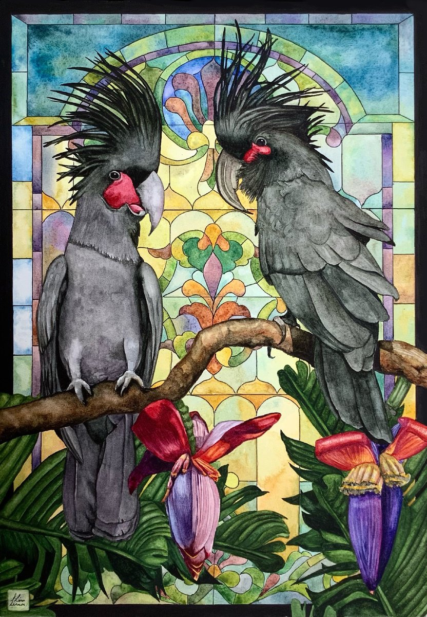 Animal Watercolour By Lisa Lennon, 11 X 17", Palm Cockatoos, Original Artwork