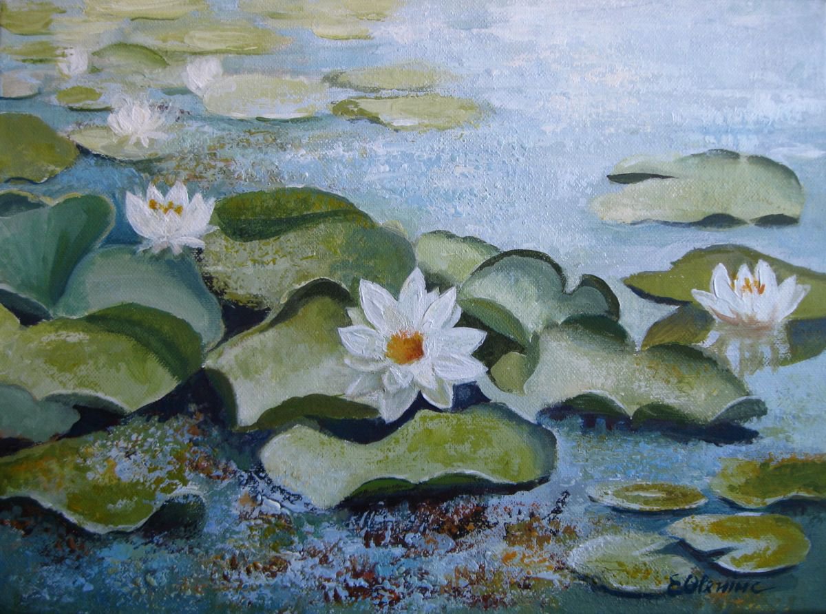 Waterlilies pond by Elena Oleniuc