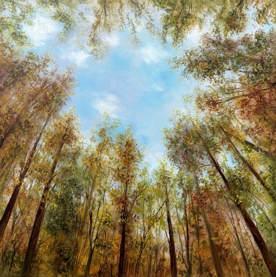 Where the Sky Begins