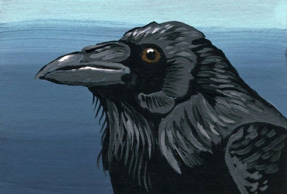 Crow Raven Bird