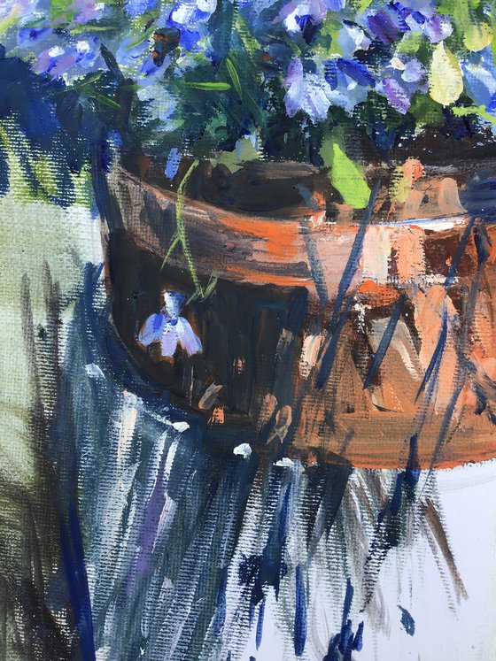Lobelia