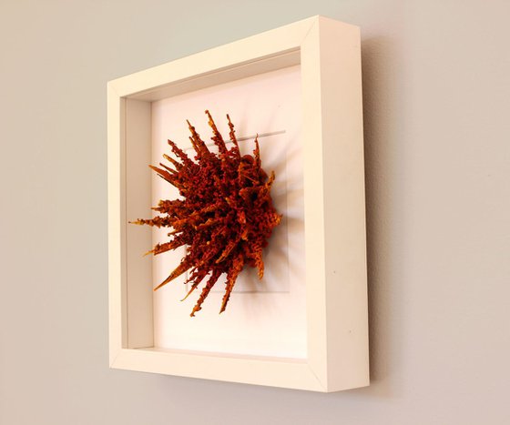 "Sea Urchin"