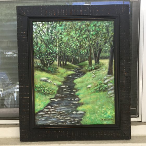 MOON BROOK from the FOOTBRIDGE