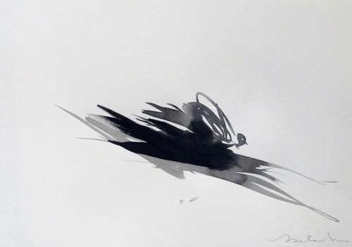 Little bird 15, 21x29 cm by Frederic Belaubre