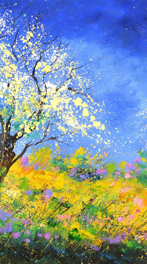Spring in full bloom by Pol Henry Ledent