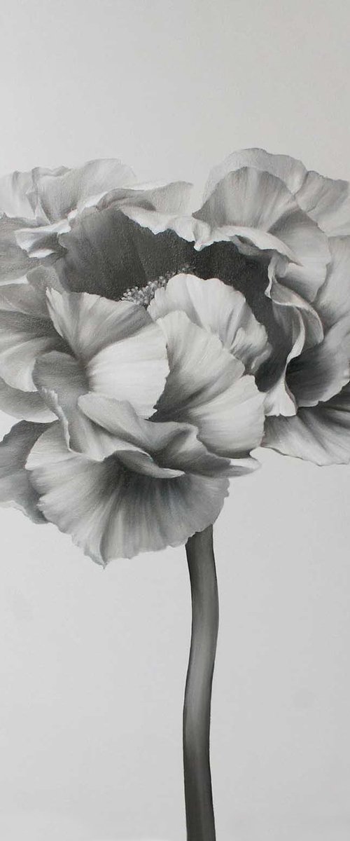 "Black and white peony 2" Black white flowers by Olha Tsapenko