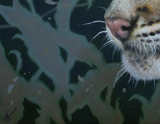Beneath the Eclipse - Clouded Leopard