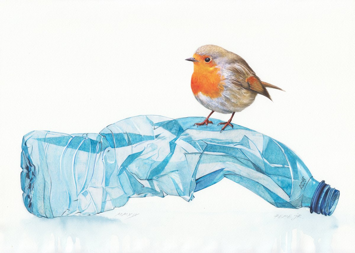 red robin on the crumpled plastic bottle
