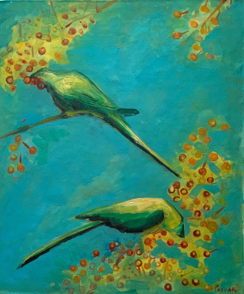 Bird Parakeet-original oil on canvas by Olga Pascari