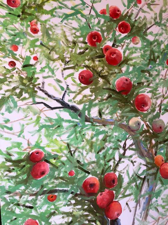 Apple Tree