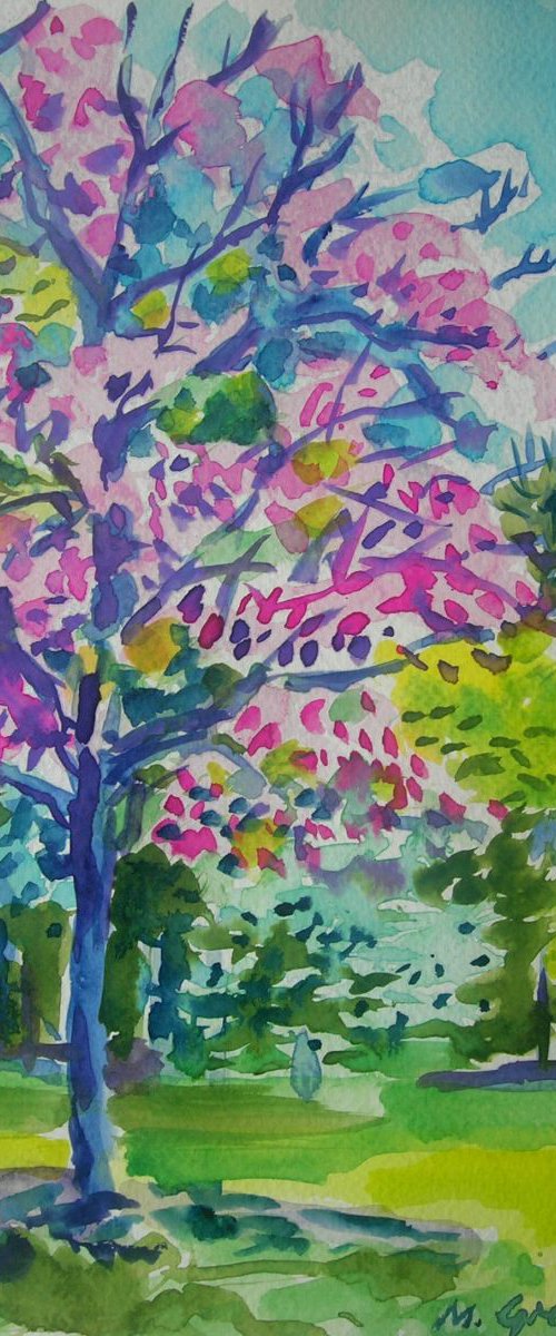 Spring is in the air by Maja Grecic
