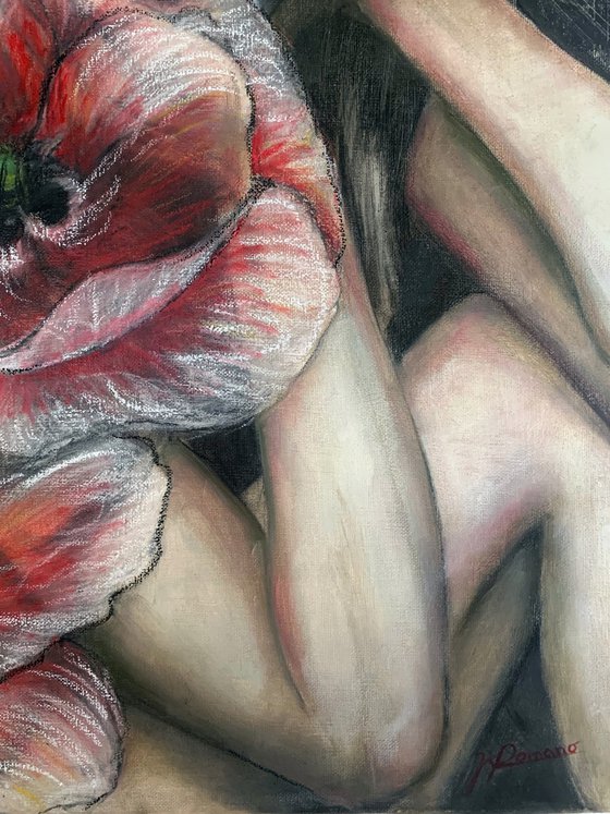 Red Poppies