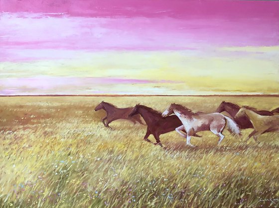 Wild horses