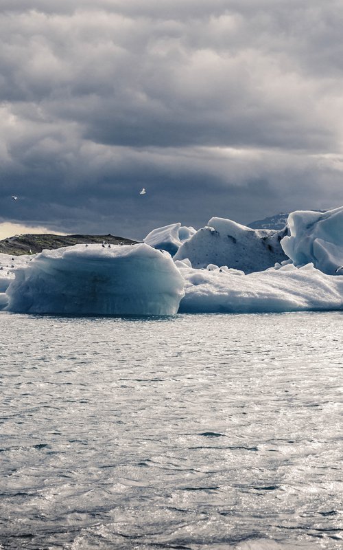 THE ICEBERGS by Fabio Accorrà