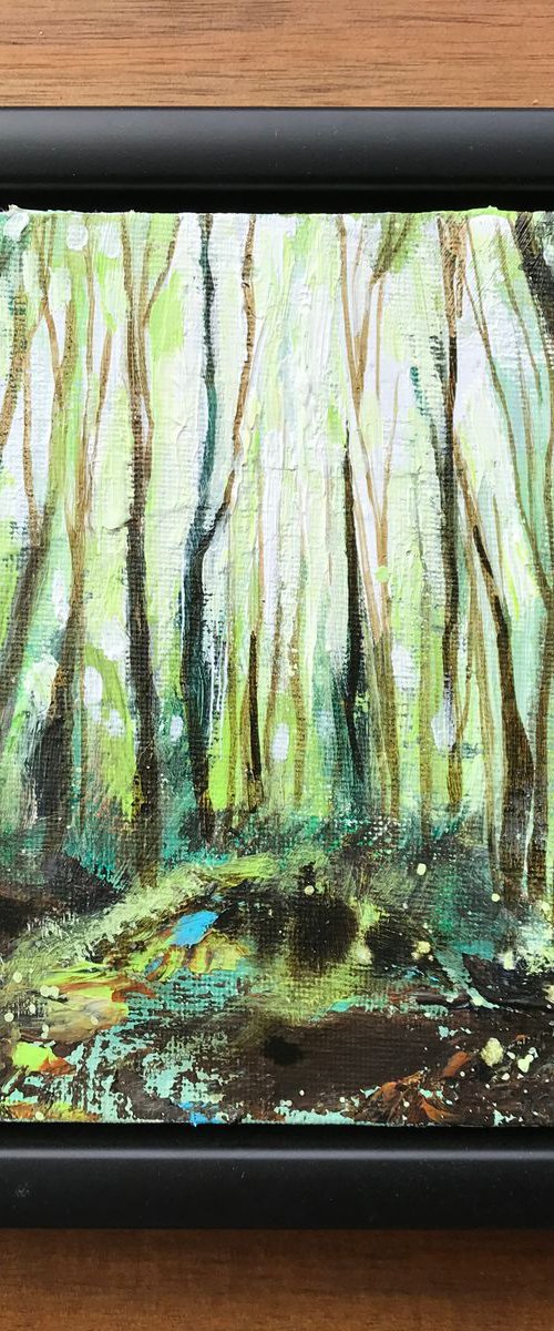 ‘Woodland Light’ by Luci Power